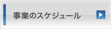 事業のスケジュール